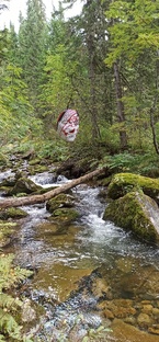 У нас в Сибири