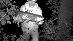 Ночная рыбалка