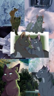 То что вам надо знать 