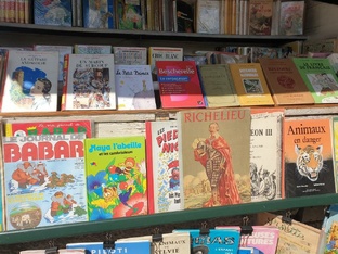 Книжные и пр прогулки