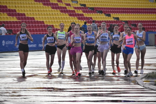 Спорт