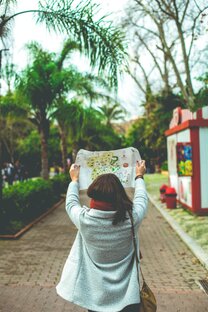 Наши братья меньшие