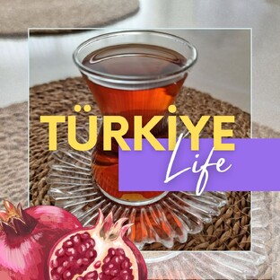 Турецкие будни турецко-русской семьи