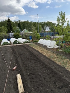 📅 Календарь садовода