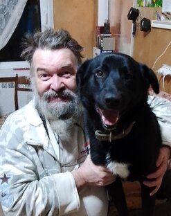 Наши кошки, собаки и все остальные.