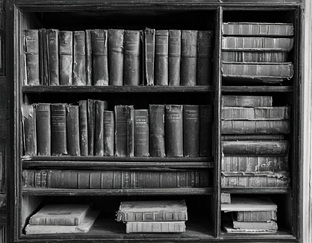 Обзоры литературных игр