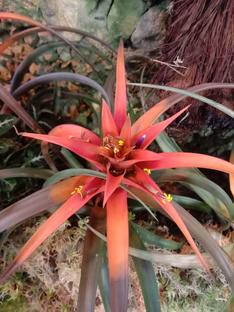 Москва январь 26