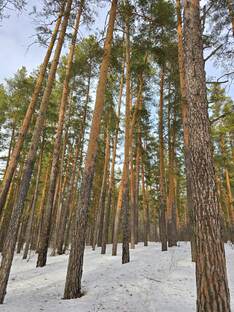 Места: Оренбургская область