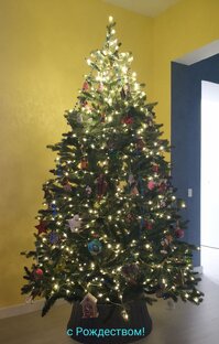 Holidays and special occasions 