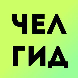 Статистика Дзен Челгид