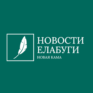 Статистика Дзен Новости Елабуги