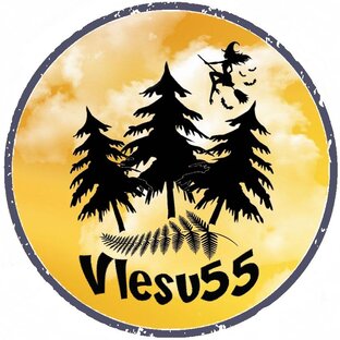 Статистика Дзен Vlesu55 
