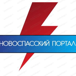 Статистика Дзен Новоспасский портал