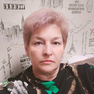 Дзен Елена Сав статистика