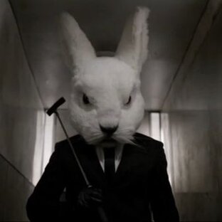 Дзен Неблог Неблогер статистика