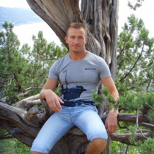 Статистика Дзен Пётр Скляров. Стихи.