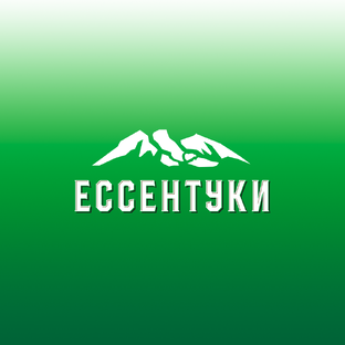 Статистика Дзен Ессентуки