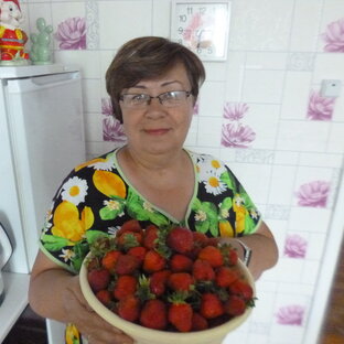Дзен Деревенский дневник: день за днем статистика