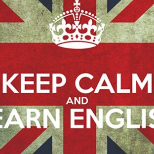 Дзен Language Learning Hub статистика