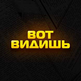 Статистика Дзен Вот Видишь