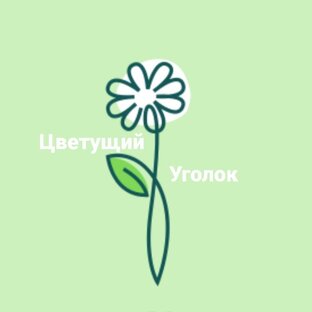 Статистика Дзен Цветущий Уголок