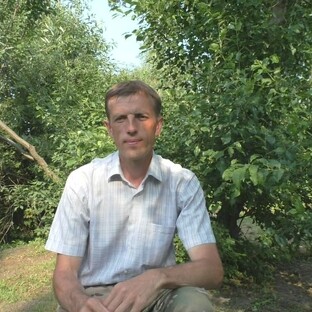 Статистика Дзен Сергей Ахтырский