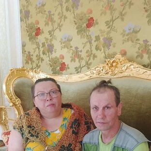 Статистика Дзен Дачная жизнь Ермоловых