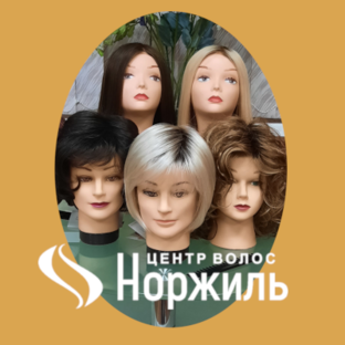 Статистика Дзен ЭЛЕГАНТНЫЕ ПАРИКИ НОРЖИЛЬ