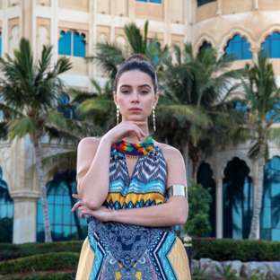 Статистика Дзен Finch Models 