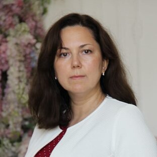 Статистика Дзен Вера Милич
