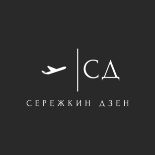 Статистика Дзен Серёжкин Дзен