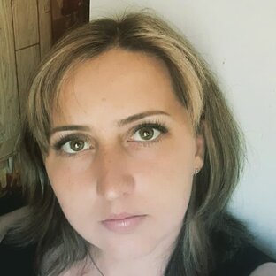Статистика Дзен ЭкоШарм