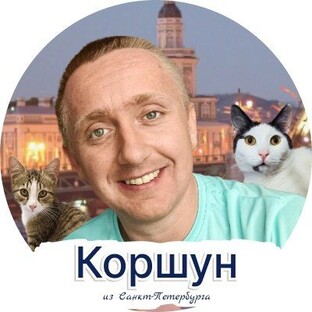 Логотип канала Коршун из Санкт-Петербурга