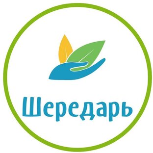 Статистика Дзен Благотворительный фонд "Шередарь"
