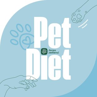 Статистика Дзен Pet Diet питание для кошек и собак