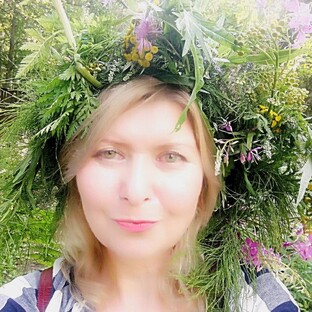 Статистика Дзен Александра Власова