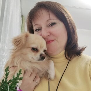 Статистика Дзен Провинциалка, Джоник и   друзья