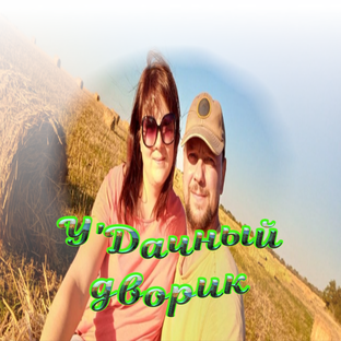 Статистика Дзен У' Дачный дворик