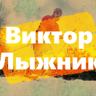 Статистика Дзен Виктор Лыжник