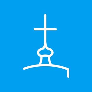 Статистика Дзен Богородское благочиние