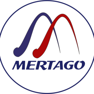 Статистика Дзен Mertago