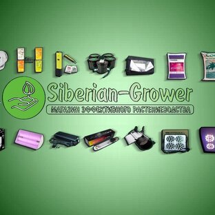 Статистика Дзен Siberian-Grower, Эффективное растениеводство/гидропоника
