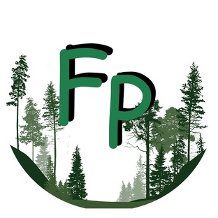 Статистика Дзен ForestPunk