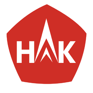 Статистика Дзен НЛК