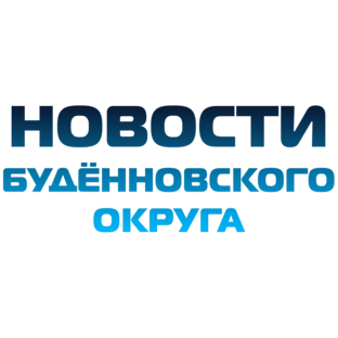 Статистика Дзен Новости Будённовского округа