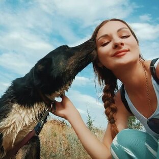 Статистика Дзен Dobrota.vlg