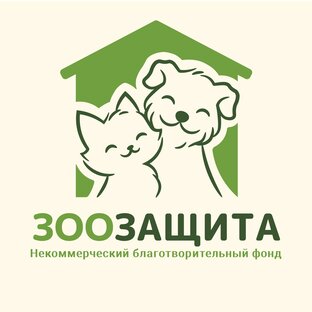Статистика Дзен Благотворительный Фонд «ЗООзащита» / Екатеринбург