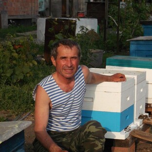 Статистика Дзен Александр Иванович Горулько