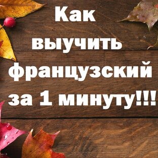 Дзен У Женечки-Пари статистика