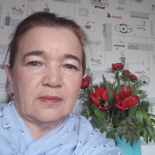 Статистика Дзен Мудрая купчиха